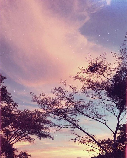 jonespi2002's tweet photo. Reposting @binxthinxabout:
If only clouds/ 
Granted wishes/
I would leave the crowds/
Far behind/
To live with the witches/
Where my soul https://t.co/d5PcRvkmey