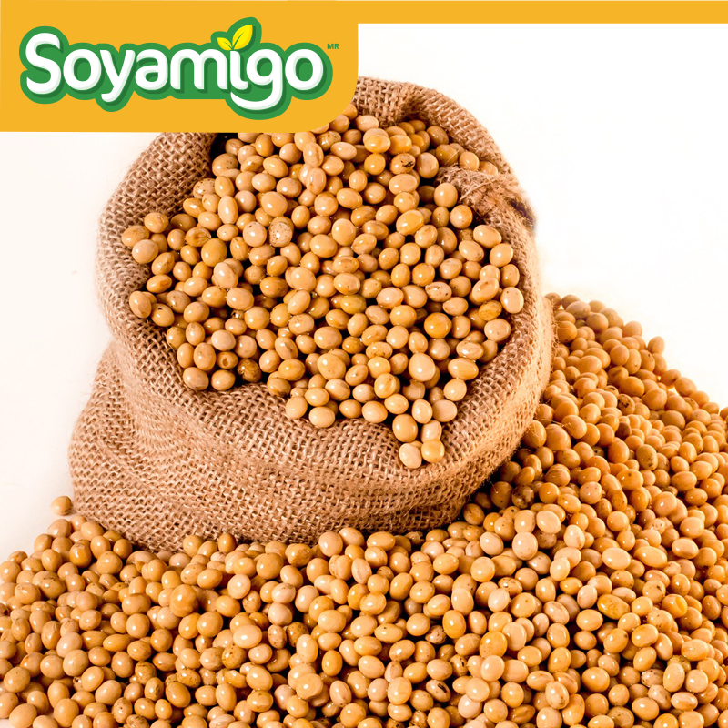 ¿Ya conoces todos los beneficios de la #Soya? Hoy #FelizMartes mira el siguiente artículo  bit.ly/2lEubxA y entérate
 #SaborSaludable #soyamigo #Sano #vegetariano #Vegano #flexitariano #Vegan #Healthy #Delicioso