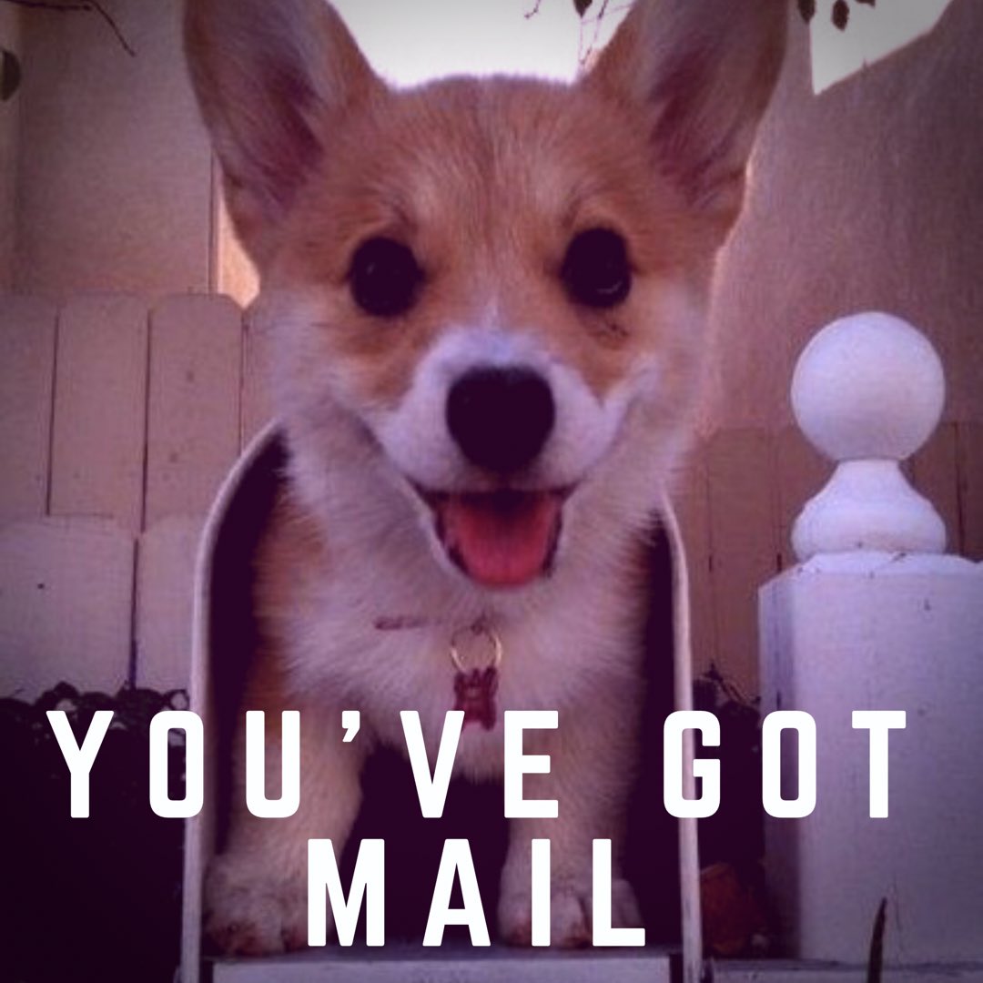Fetchpet1's tweet photo. Nothing like getting a cute surprise in the mail! #cute #cutedog #puppy #PetSupplies #fetchpet #dogmom https://t.co/FyPkReC2hd