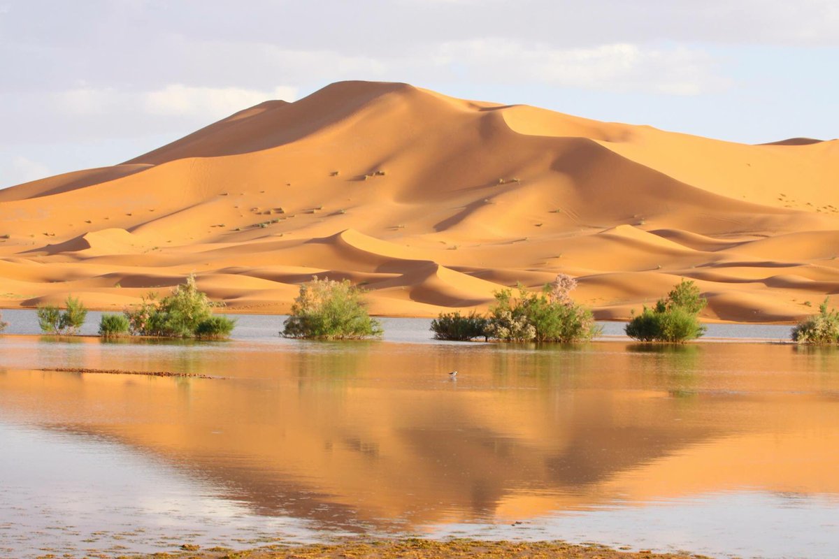MarruecosTotal's tweet photo. "Viajar sirve para ajustar la imaginación a la realidad, y para ver las cosas como son en vez de pensar cómo serán"

#viajes #Marruecos #marruecostotal 
https://t.co/Qbk9HZYapG https://t.co/ZLl2iIGcek