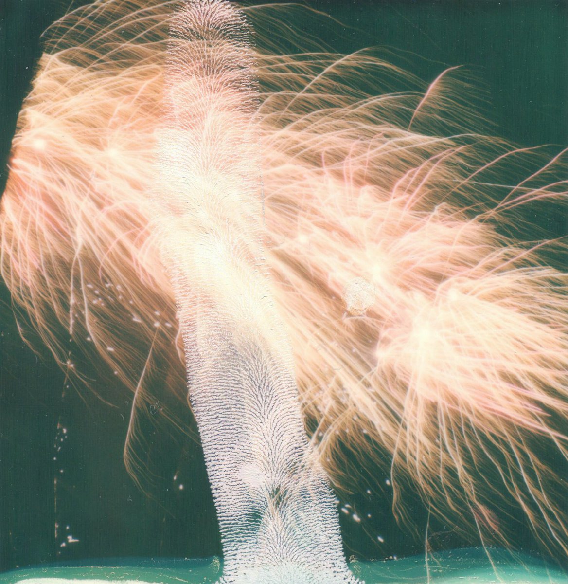 lelagruen's tweet photo. when the camera starts painting #polaroid https://t.co/fen1WXNPjb