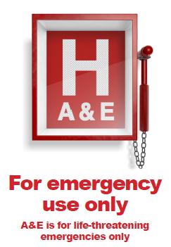 WHH Forget Me Not tweet media