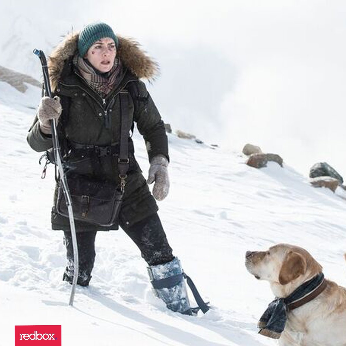 What happens when two strangers must work together to survive on a remote snow covered mountain? Find out in <a href="/MountainBetween/">Mountain Between</a>. #MountainBetweenUs bit.ly/2lGqyHB