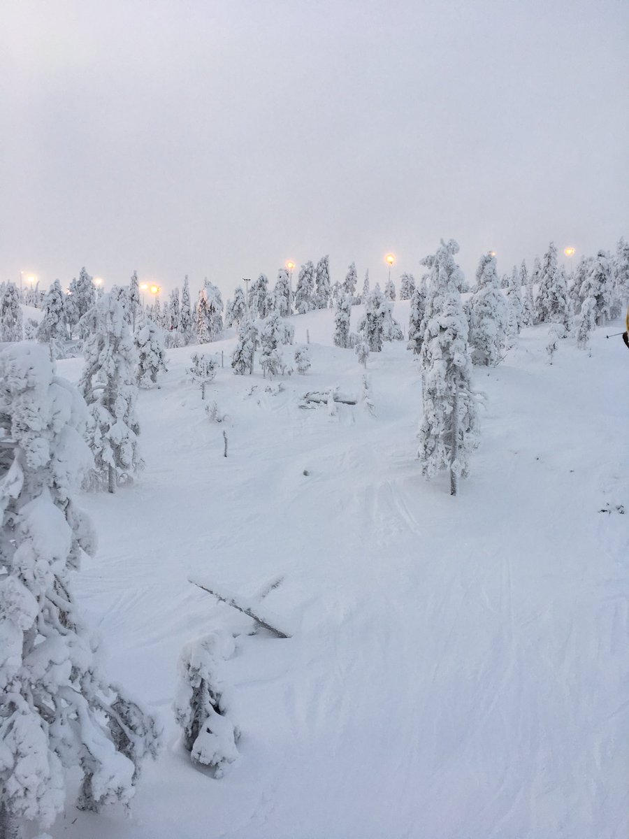 RitariTJ's tweet photo. Puhdas, valkoinen lumi, pikkupakkanen - Talvi❤️ #ruka https://t.co/RmpeihzS2k