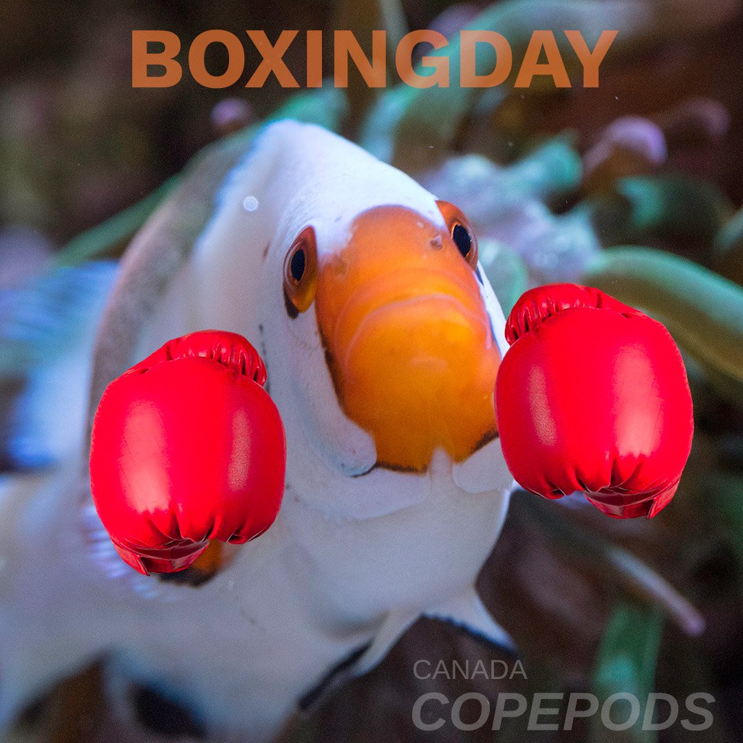 CanadaCopepods's tweet photo. Our boxing day sale continues for 3 more days!
Use coupon code BOXINGDAY for 15% off all orders at https://t.co/y2FF9UBPzv
#Copepods #Rotifers #Phytoplankton #SeedPacks https://t.co/8EhfJ6Nskc