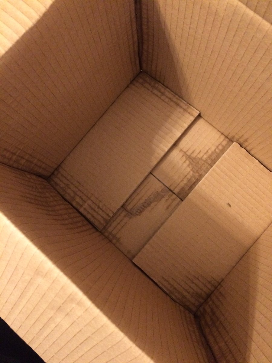 Thanks <a href="/officialUKMail/">UK Mail</a> for throwing my new <a href="/CanonUKandIE/">Canon UK and Ireland</a> DSLR over my 6ft fence and leaving it in the rain all day. My neighbours were in by the way. #PoorCustomerService