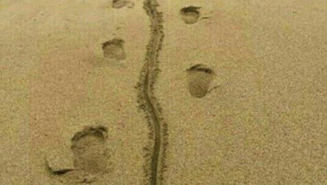 Los Reyes Magos ya salen de Oriente...
Por lo menos Baltasar.