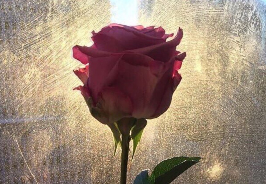 ثقي أن كل احلامي وامالي تلتقي عند بريق عينيك...... 
Your guardian angel