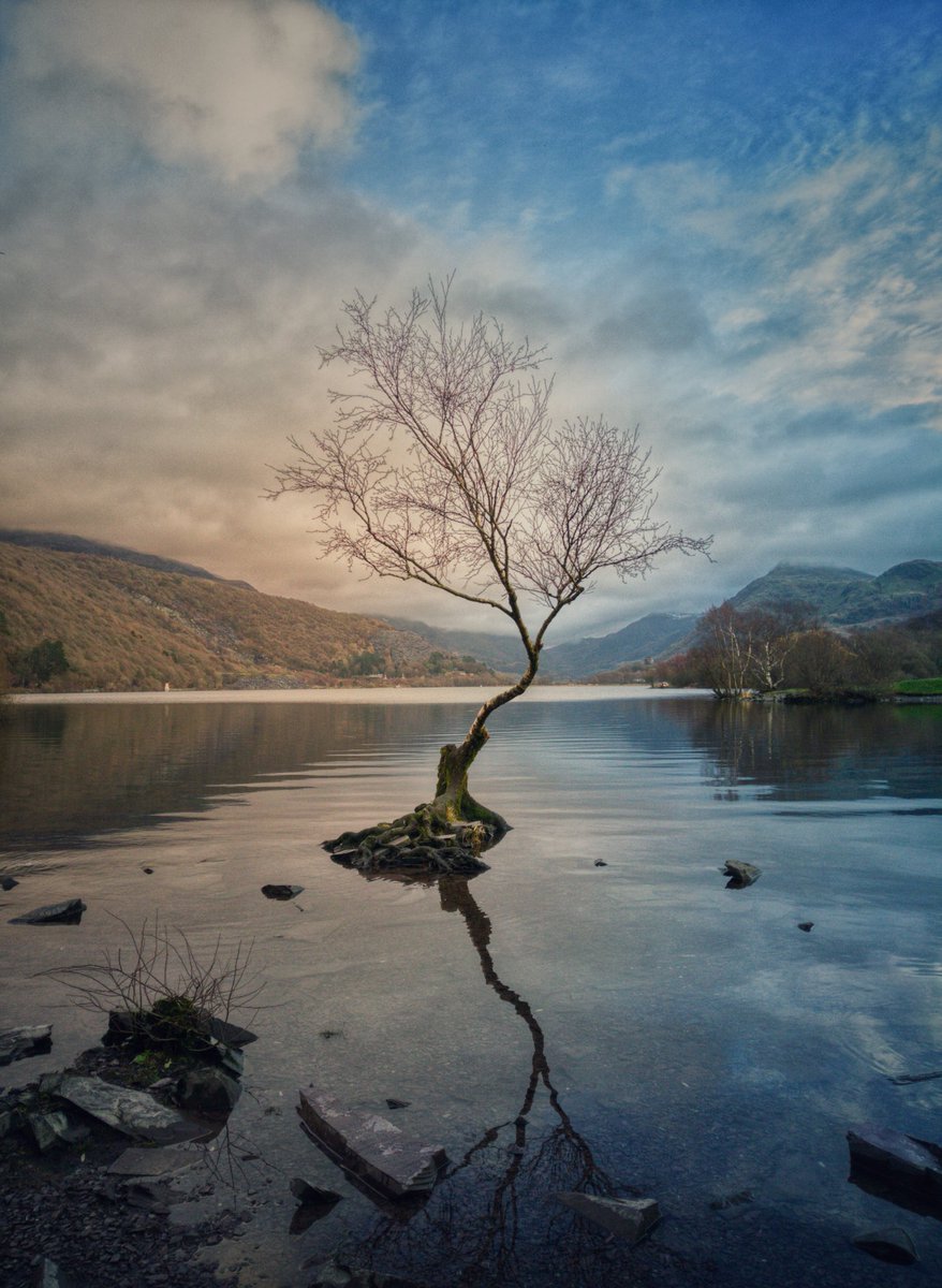 ThePrettyPic's tweet photo. 'The world is full of magic things, waiting for our senses to grow sharper' ~ W.B. Yeats #llanberis #snowdonia #NorthWales #wales #lake #llynpadarn #tree #nature #naturephotography #landscape #landscapephotography #theprettypicturecompany #kodak #kodakphoto #kodakektra #ektra https://t.co/MnpqC0w8Nh