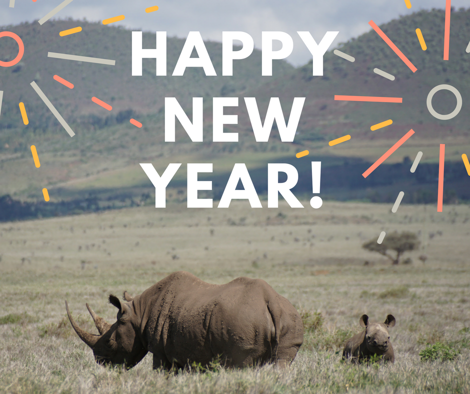 Save the Rhino International tweet media