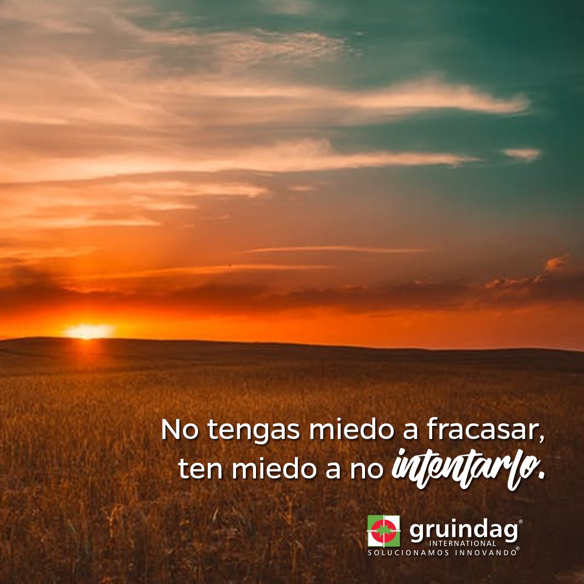 gruindag's tweet photo. No tengas miedo a fracasar, ten miedo a no intentarlo.
#Gruindag https://t.co/4Ni3muy4VO