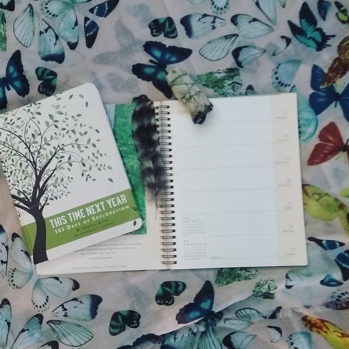 goldenbraidbook's tweet image. 2018 calls for transformation! 💚 #toolsfortransformation #feather #sage #planner #reflect #cleanse #breathe #shophappy #goldenbraidbooks