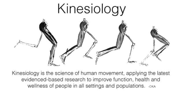 #Chinesiologia: la scienza del movimento. #definizione #scienza #movimentoumano #scienzemotorie #kinesiology