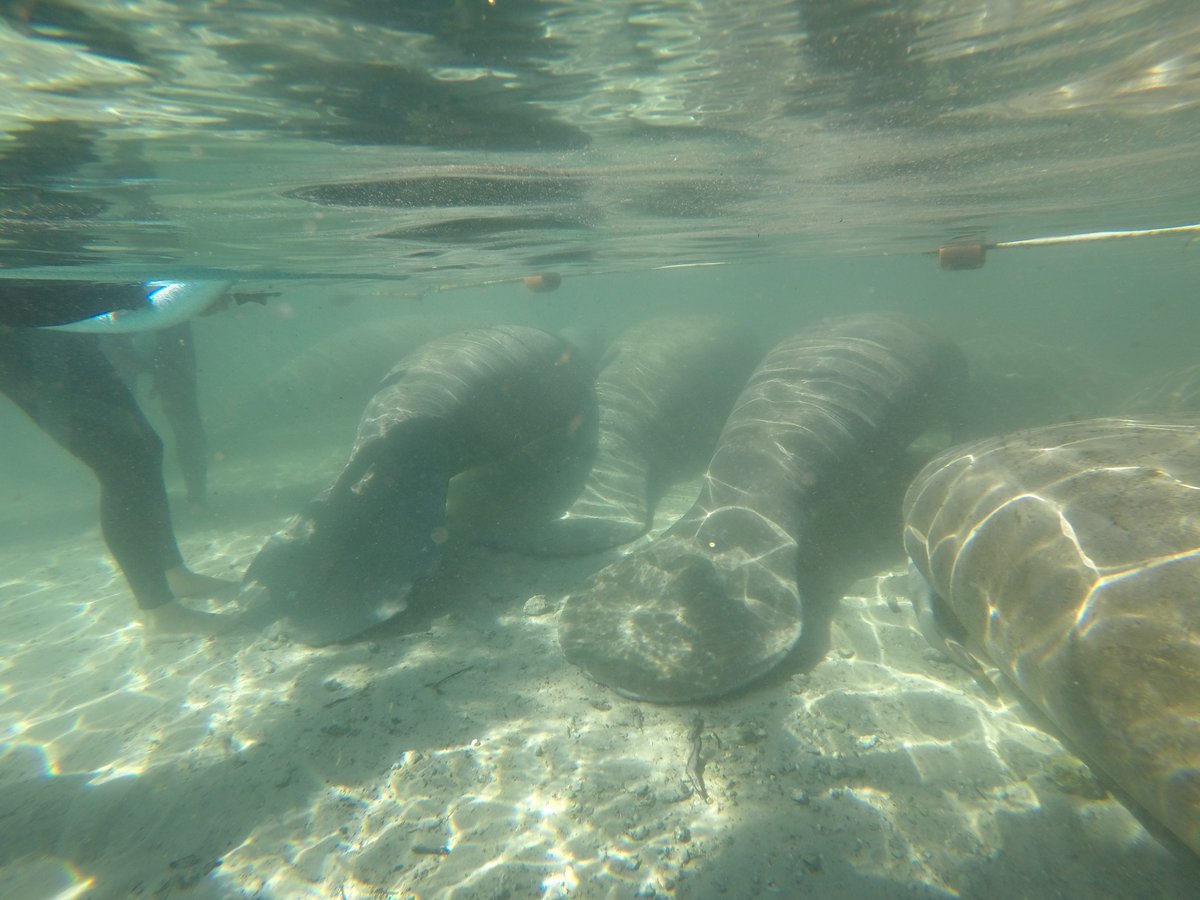 GC Expeditions tweet media