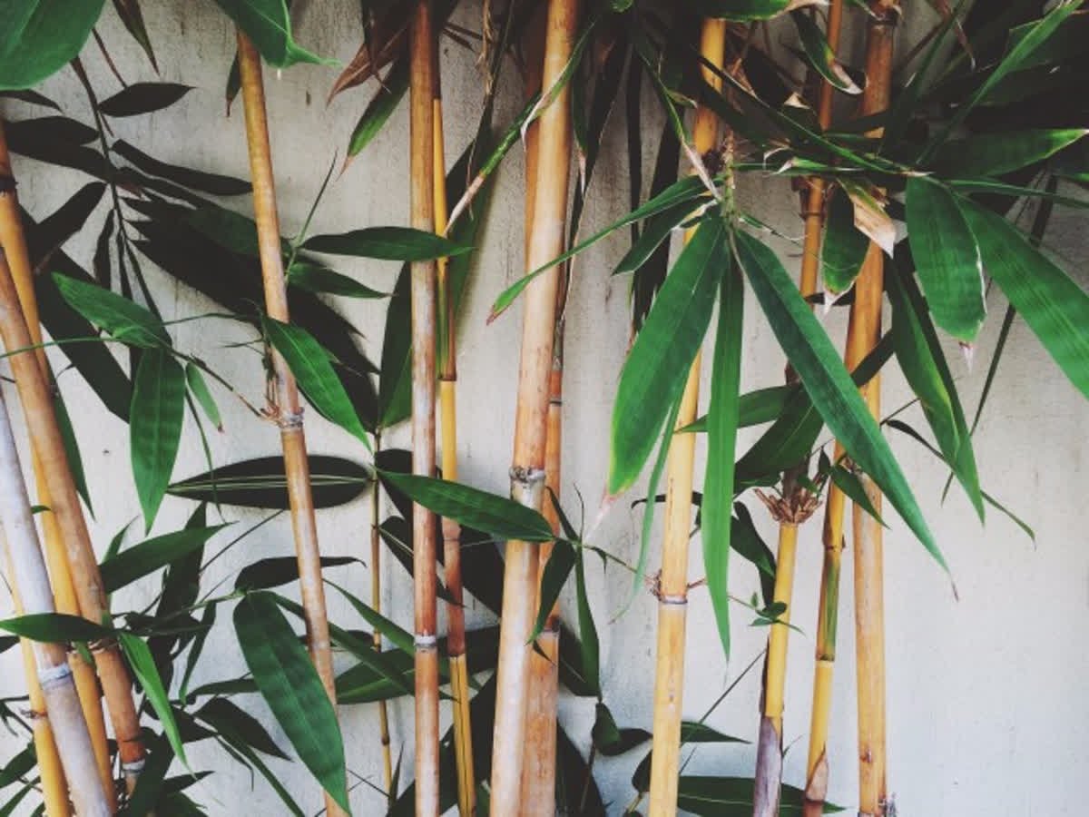 Did you know that January is #NationalHobbyMonth? We know that a lot of our followers love making #ecofriendly, #DIY pieces in their spare time! Tweet us and tell us what your #environmentallyfriendly #hobbies are!