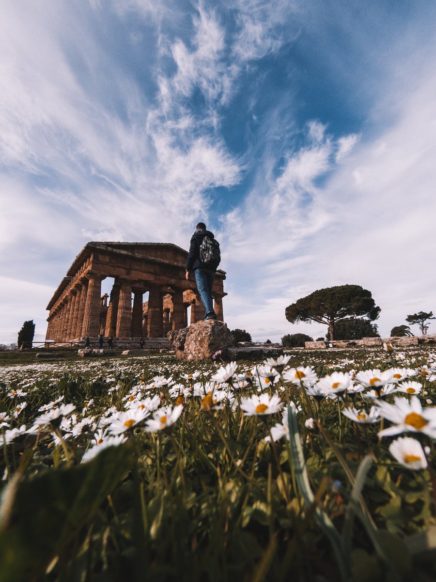 Filippo Cinotti tweet media