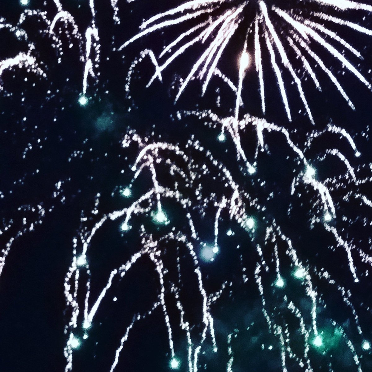 NikiBotterill's tweet photo. Happy New Year my Twitter Friends https://t.co/kAnZKEisX4