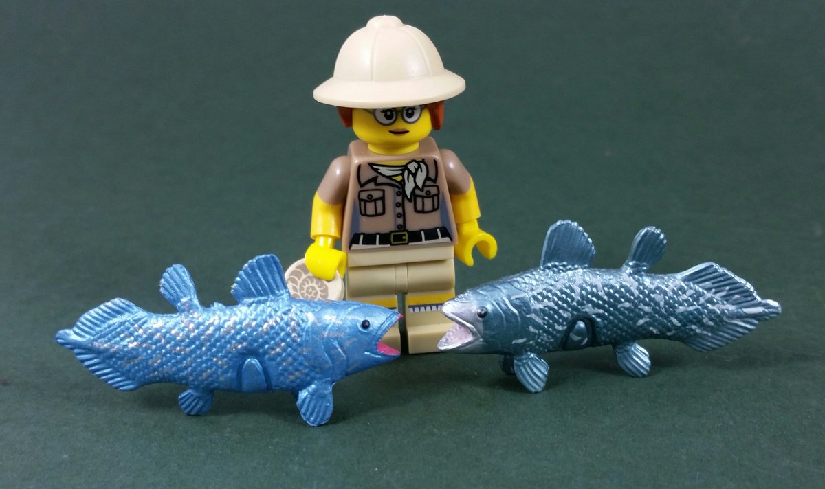 coelacanth toy
