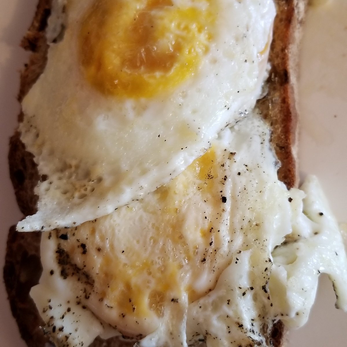 Jennifer_Nameth's tweet photo. Eggs and sprouted toast #transformyourPhysIQ https://t.co/hLZJiH0Znl