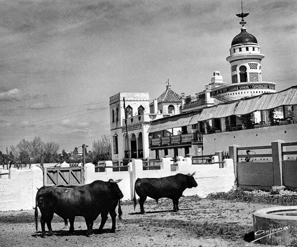 Imagen retrospectiva de una corrida apartada en los corrales de la <a href="/RVentaAntequera/">RealVentadeAntequera</a> en Sevilla.