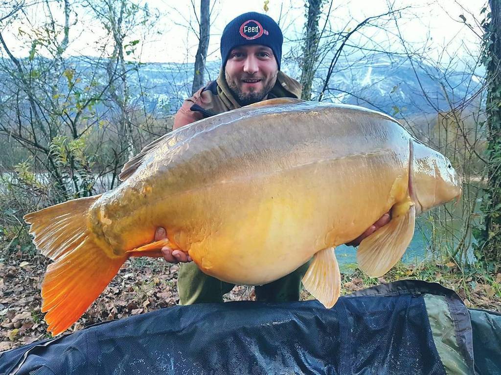 FeedupTeam's tweet photo. Member Marco Maddaleni #feedup #neversleep #carp #carpfishing #bigcarp #lovercarpfishing #lovecarp #lovefishing #karpen #carpworld #carpanglers #navitasangling #navitas #soul #instacarpfishing #instacarp #instafish #instafoto #instagood #lake #nokill #fi… https://t.co/sPOwWQgSZQ https://t.co/9Nrh1Q4iy3