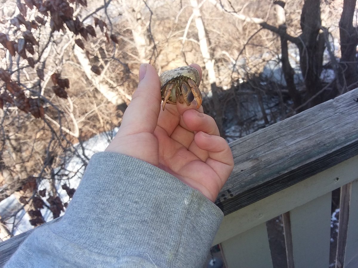 alienqueenn_'s tweet image. Neptune💕