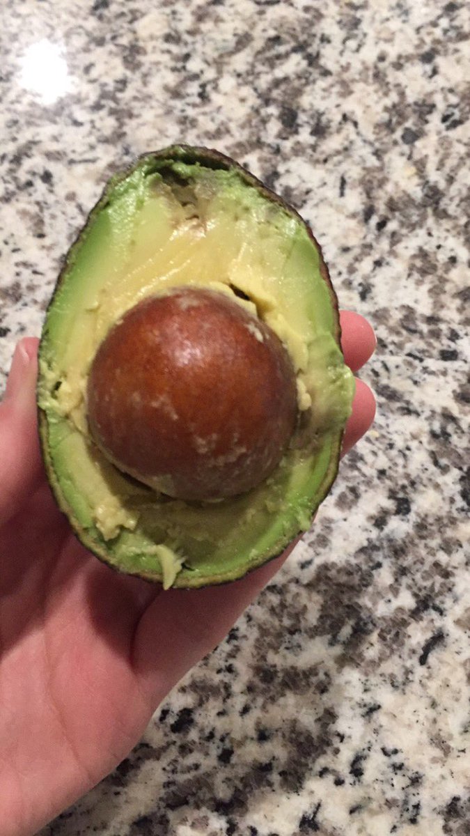 Getting an avocado with a pit this big is like opening a new bag of lays chips...