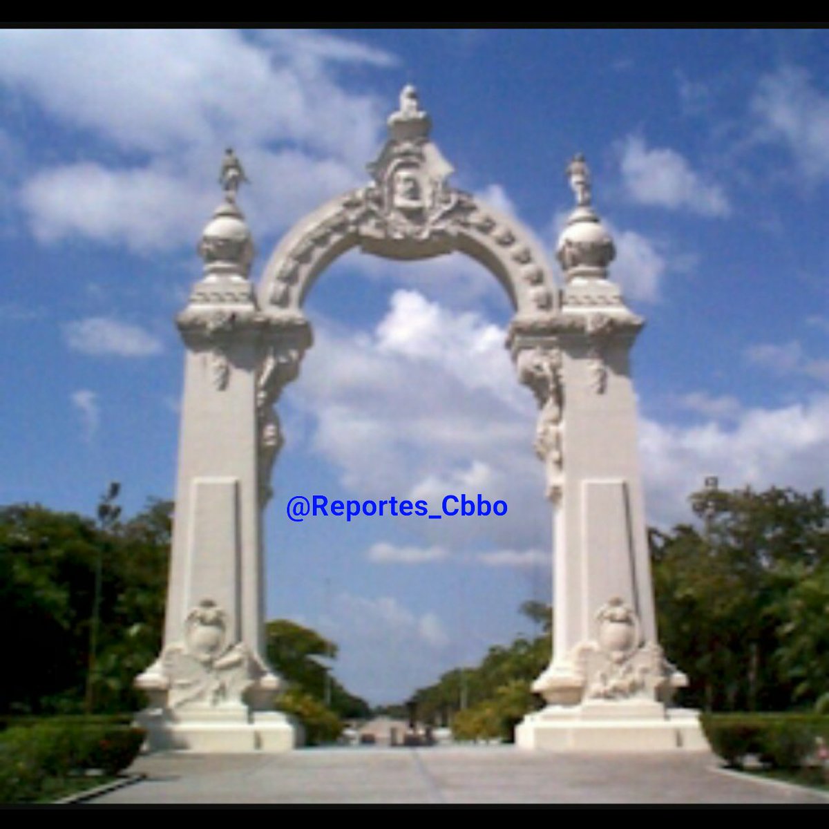 Reportes Carabobo tweet media