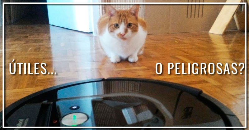 #Blog Aspiradoras en el hogar, ¿útiles o peligrosas? 🏷️ aspiradoras.online/blog/aspirador… 🏷️