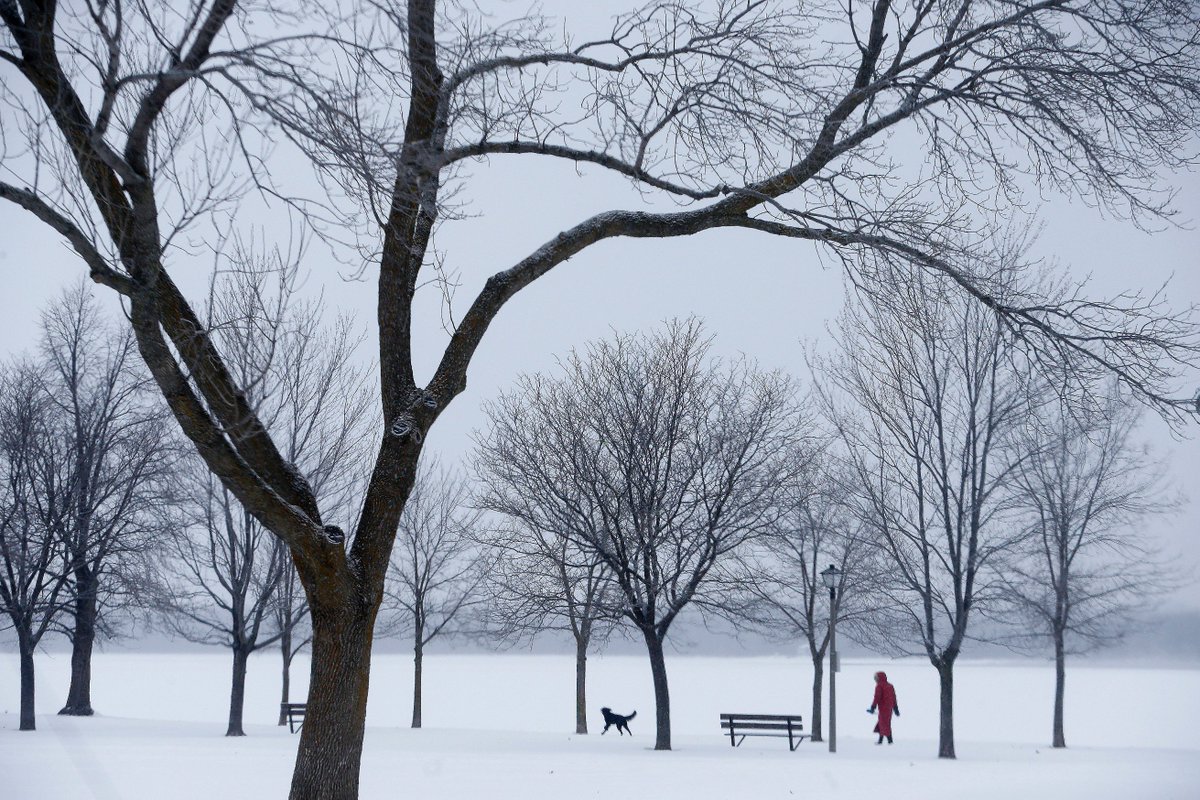A woman walks her #dog near Britannia Beach in #Ottawa Monday Jan 2, 2017. #ottnews #ottweather <a href="/OttawaCitizen/">Ottawa Citizen</a>