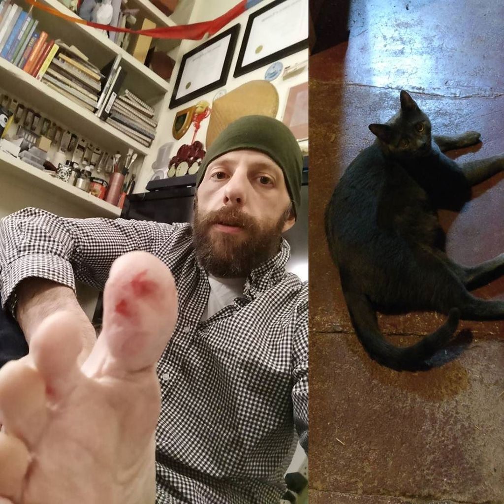 bcwinkler's tweet photo. He's so incredibly tired from doing this to my toe. https://t.co/eMhV1Q0TgA https://t.co/Ux8cQyLA3s