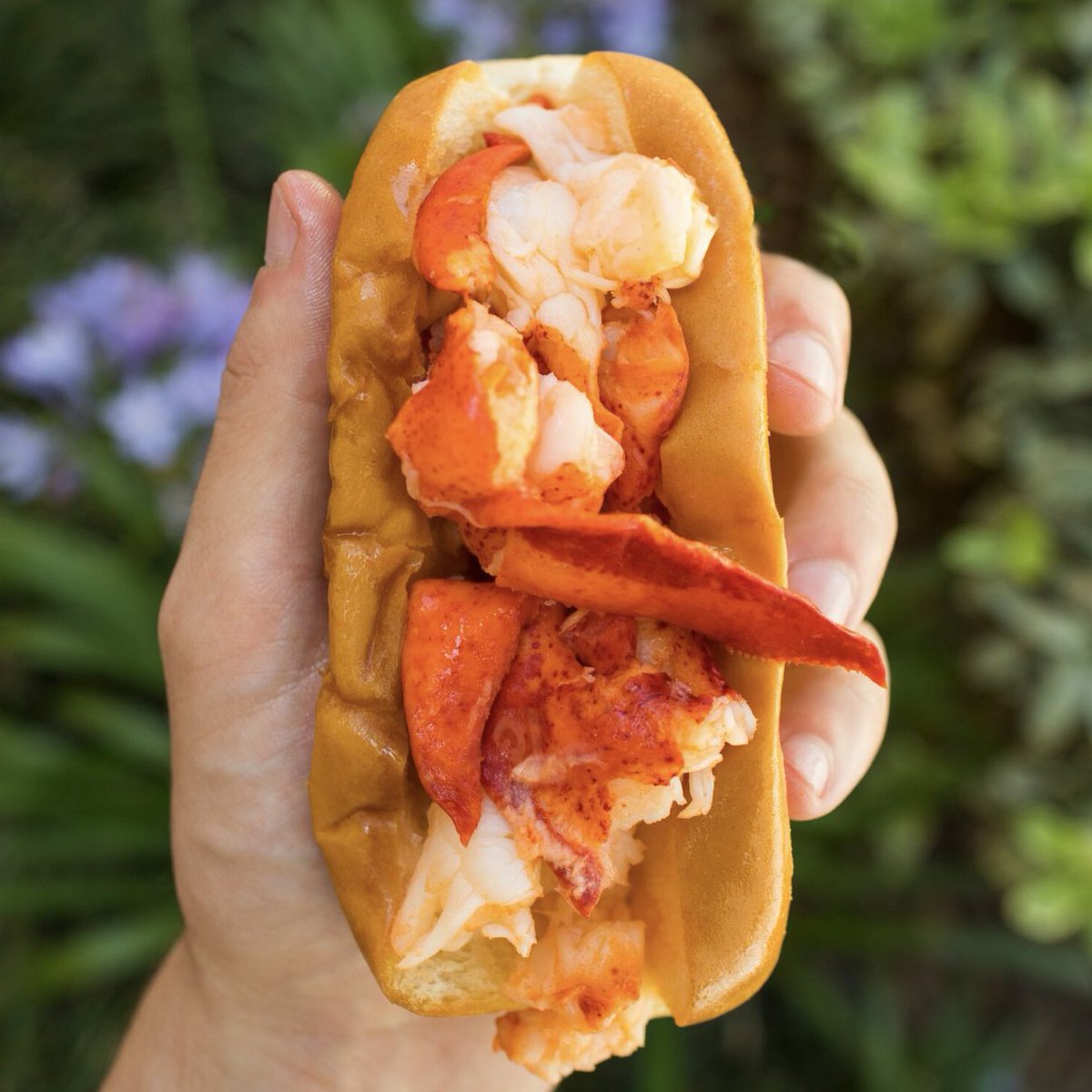 We're moving to a new Twitter handle, <a href="/cousinsmainelob/">CousinsMaineLobster</a> ! Be sure to follow us there to keep up on everything Maine Lobster!