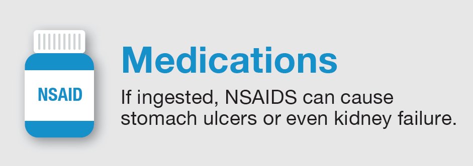 CalVetSpec's tweet image. It is a crazy time of year, and we may forget to keep our medications out of our pets reach. Here is a quick reminder to take the extra steps, so our fur friends are safe! #toxictuesday #petsafety #safeholidays