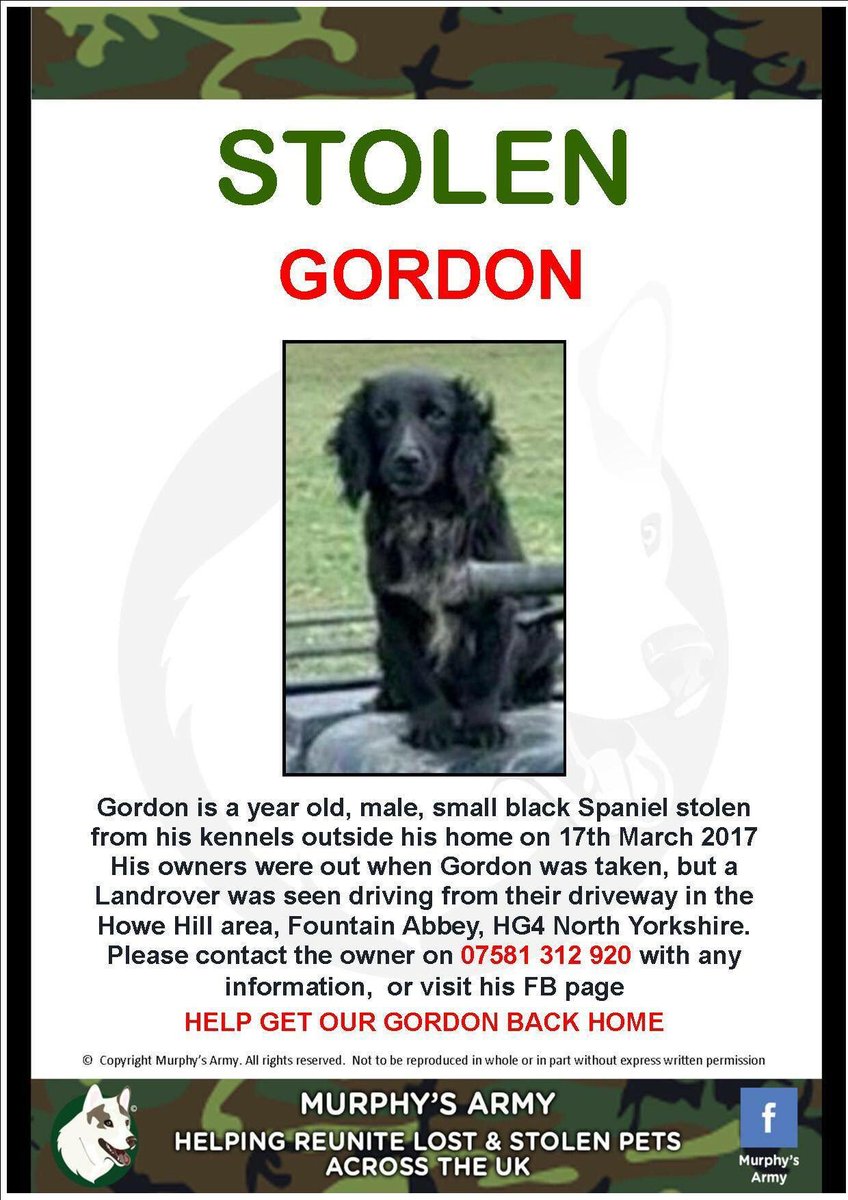 rosiedoc666's tweet photo. #findGordon #STOLEN #NorthYorkshire https://t.co/8YrjHuq1Tn