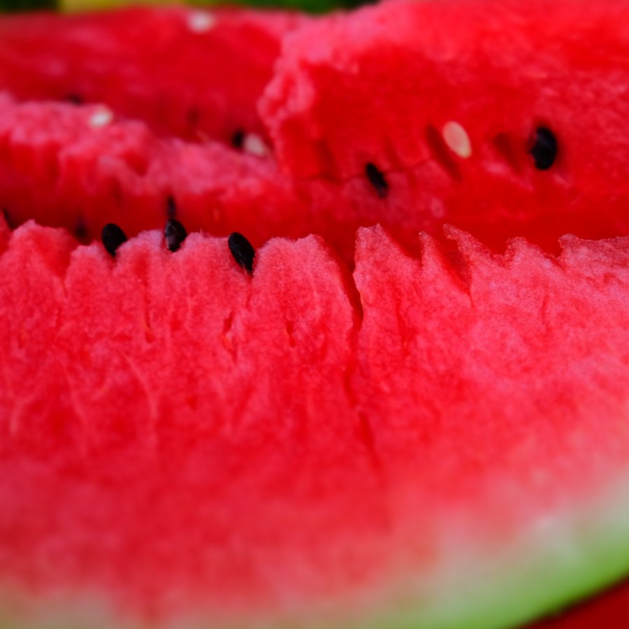 TsammaJuice's tweet photo. First slice of 2018.
#homegrownhydration #watermelon #fitness #health #performance #athletics #workout #fitness #gym #yoga #running #freshoffthefarm #performancehydration #coconut #blueberry #juice #fresh#farming https://t.co/EiW2COYopr