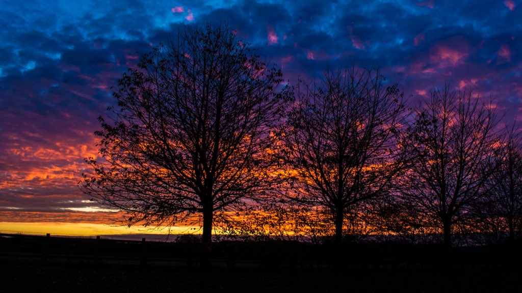lichphotography's tweet photo. #Lichfield #photography #sunset #triooftrees #silouette #red #yellow #bluesky #nofilterneeded #nofilter https://t.co/TGOWOhht8D