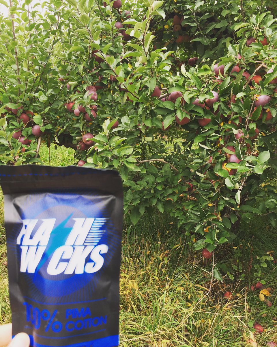 Flashwicks's tweet image. 