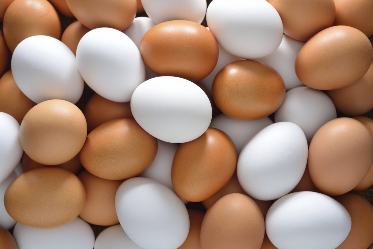 BiggyPoultry's tweet photo. Get your fresh crates of eggs from Biggy Farms today, we deliver to anywhere you are in Accra. T&amp;C apply 

Just give us a call 📞 0500017782
Wholesale and retail.

Prices range from 18gh - 25gh
Wholesale prices range from 16gh - 22gh
Per crate.

Kindly Retweet https://t.co/J5Oiq05rqe
