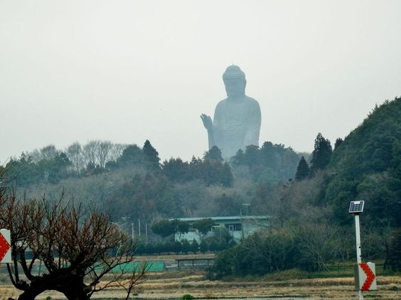 巨像bot tweet media