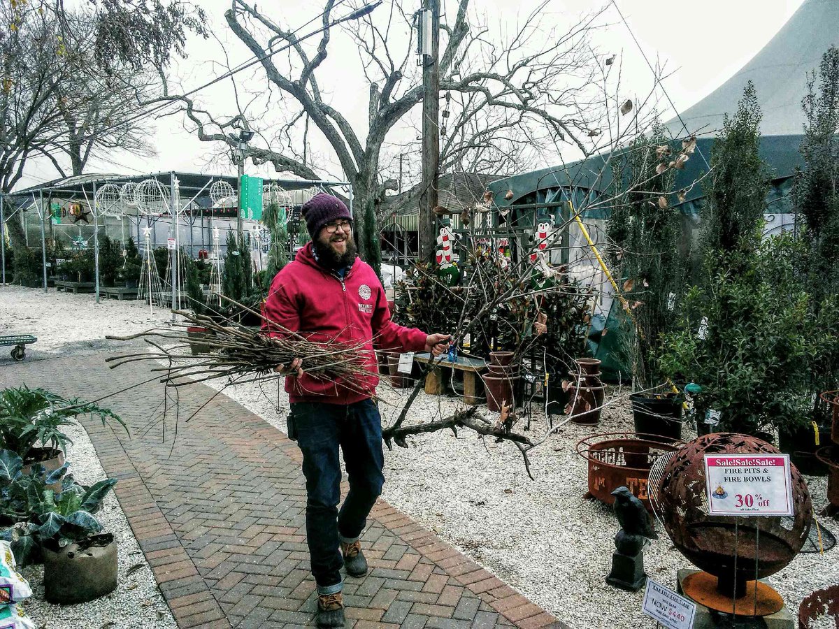 Buchanan's Plants On Twitter: Fire pits are now on sale! #fire #firepit #firepitnight #firepitphotography #firepits #firepitseason #firepitkindofnight #firepitlove #firepitandwine ... - Buchanan's Plants On Twitter:
