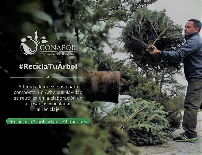 Ver imagen en Twitter Ver imagen en Twitter