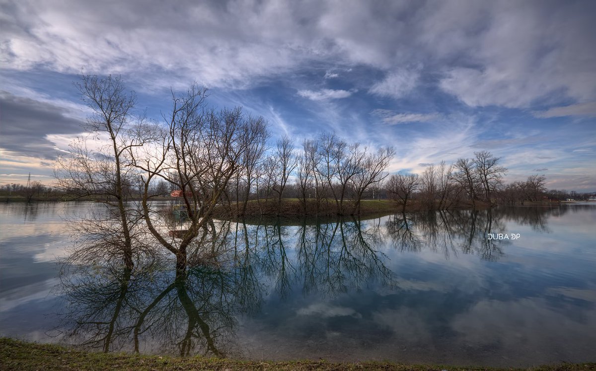 duba912's tweet photo. #jarun #lake #water #Zagreb #winter #landscapephotography #landscape #NaturePhotography #nature #naturelovers https://t.co/Iegq68AKPW