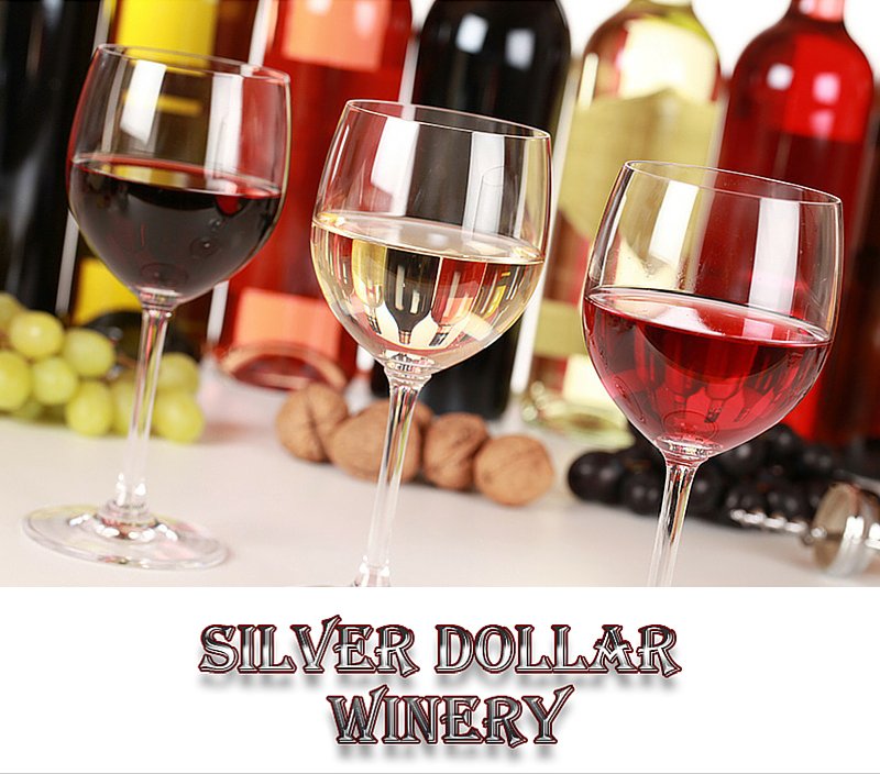 SilvrDollarWine's tweet image. Award Winning Texas wines are what we do!
silverdollarwinery.com
#AwardWinningTexasWines #TasteTexas #TexasWinery