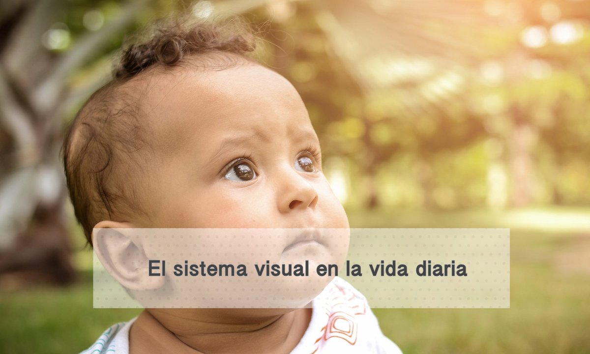 OcupaTEA's tweet photo. 📎 NUEVO POST - El sistema visual en la vida diaria #IntegraciónSensorial #DestrezaVisual 👉 https://t.co/fngY6gtKX7 https://t.co/pDTJqSrcnI