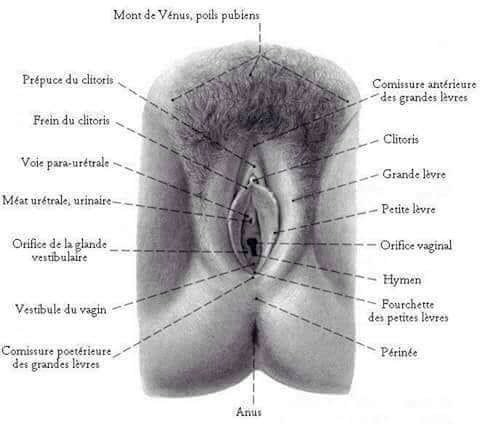 Achirou  madayana (@madayanaachirou) on Twitter photo 