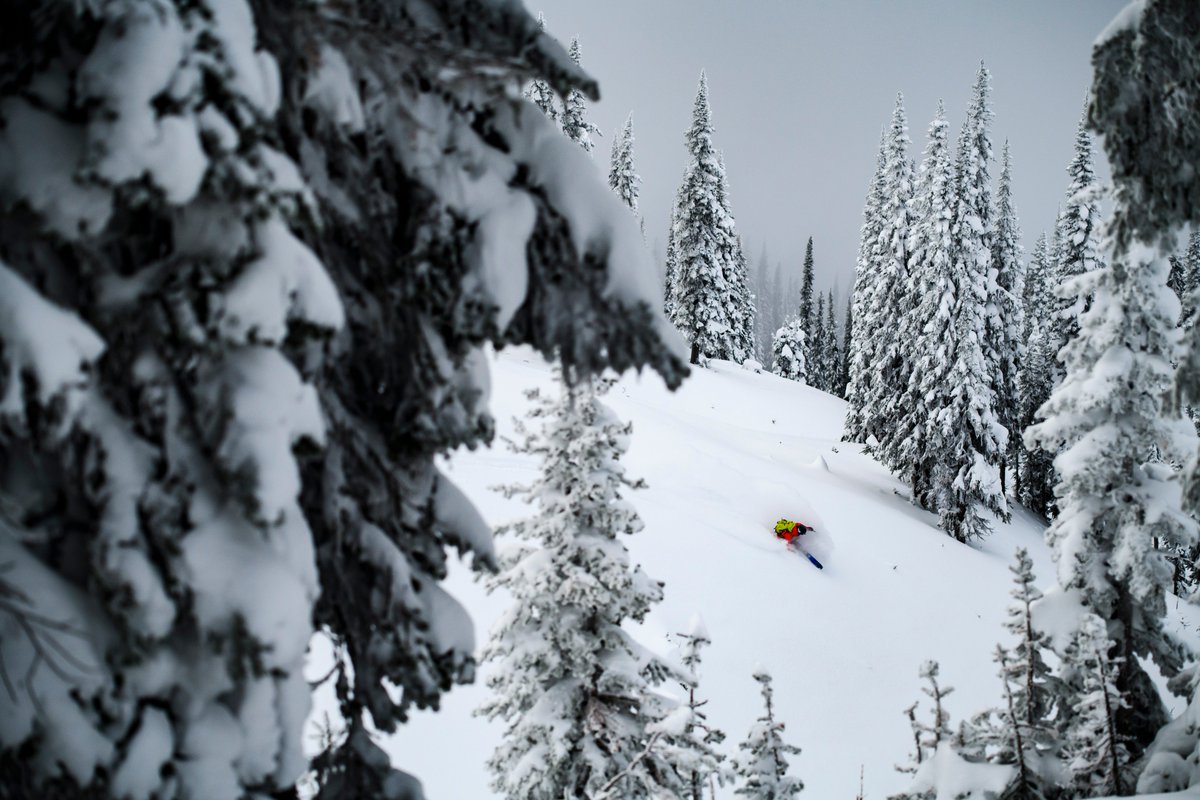 revelstokemtn's tweet photo. We're in the lead for Year to Date Snowfall. Check out all the latest snow stats here 👉https://t.co/UYiY4M0TiO #Revelstoked #Powderhighway #kootrocks 
@IAmASnowSeeker @SnowBrains @SeeRevelstoke Photo: @eyeblong https://t.co/RSdt87bZ4u
