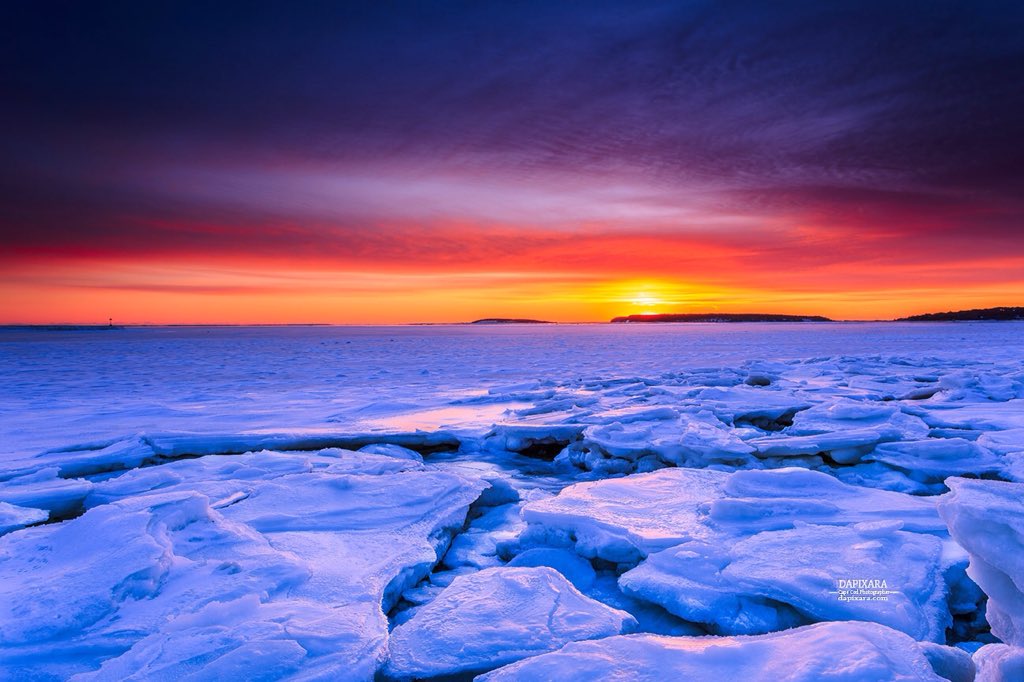 Tonight's extraordinary winter #sunset at frozen Wellfleet Harbor. #capecod dapixara.com/News/files/Ton… #StormHour