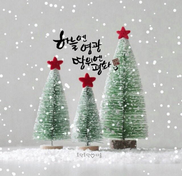 eshwang3's tweet image. Christmas snapshot 3