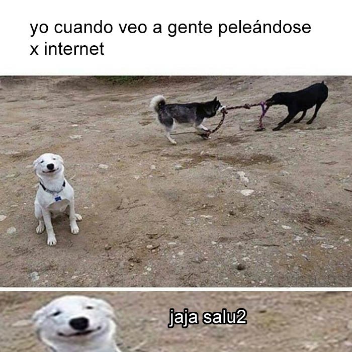 yisucrist's tweet photo. este perro me representa https://t.co/UTJR894Hm6
