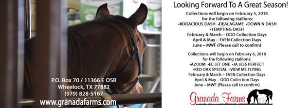 GranadaFarms's tweet image. Breeding season is just around the corner. Now booking all stallions. Collections begin February 5th! granadafarms.com #Azoom #BodaciousDash #Dealagame #DownNDash #EcJetOne #JaJessPerfect #RedOakSpecial #TemptingDash #ViewMeFlying